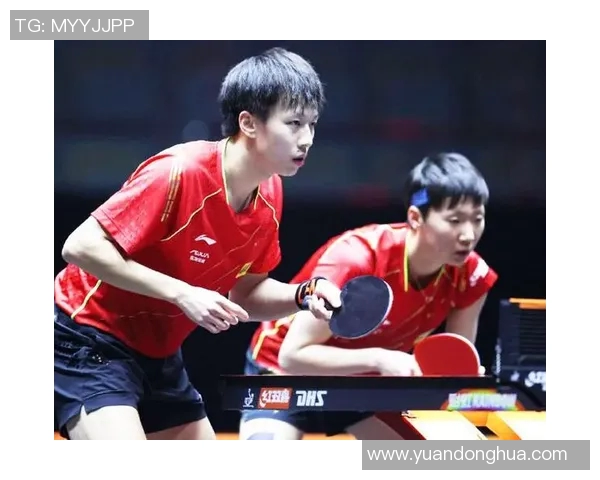 乒乓球精彩对决荷兰队与日本队的巅峰较量即将上演